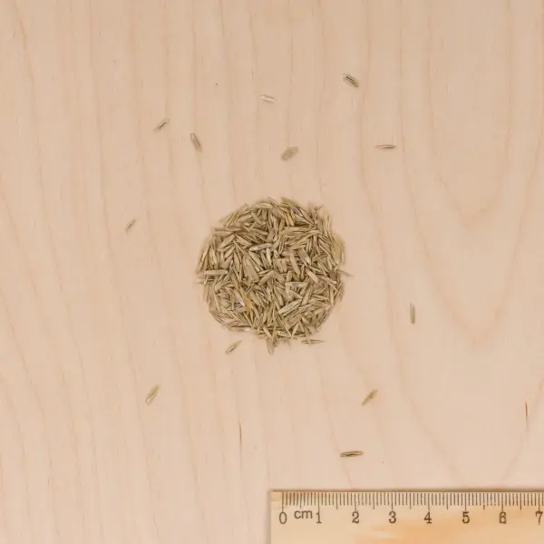 Bio - Pelouse Bio - 1 kg - MEDIA_3D